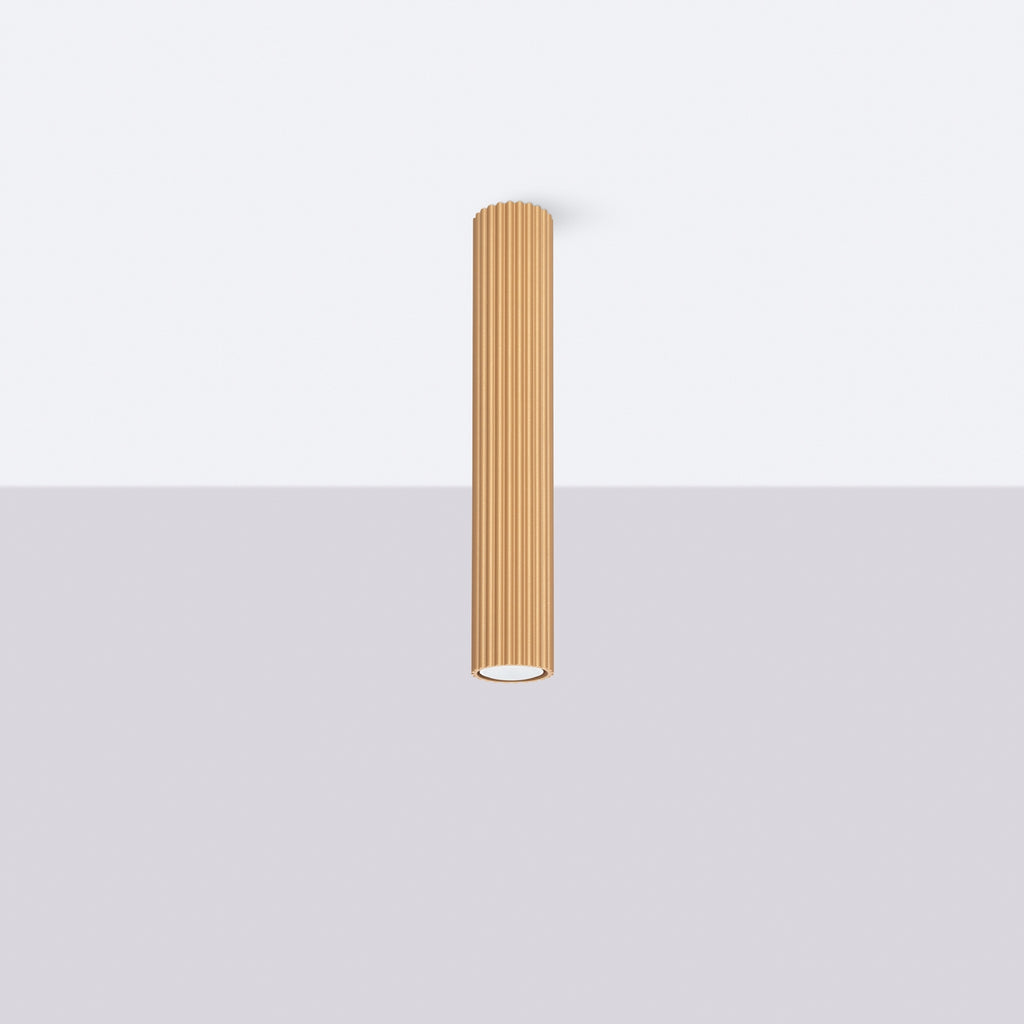 344fa61c6365c8ecdf64e78f5772587f