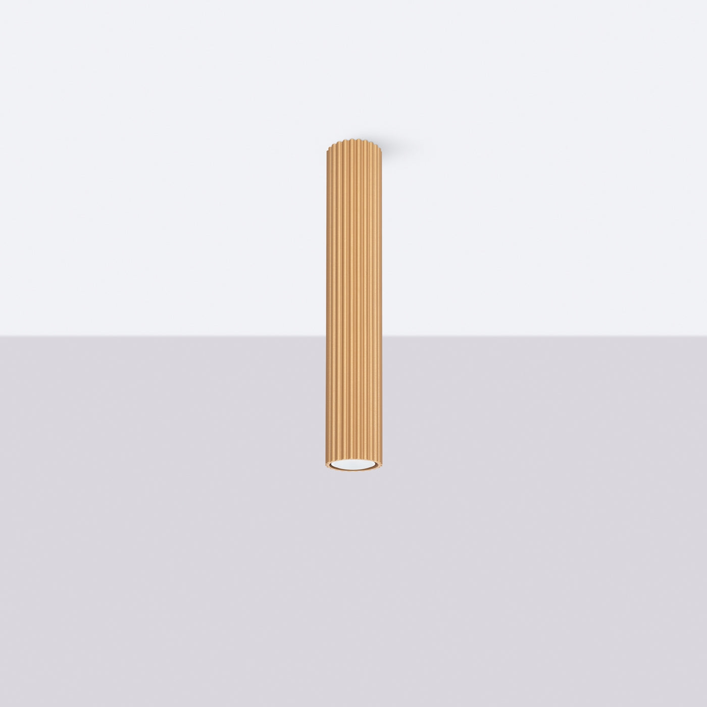 344fa61c6365c8ecdf64e78f5772587f